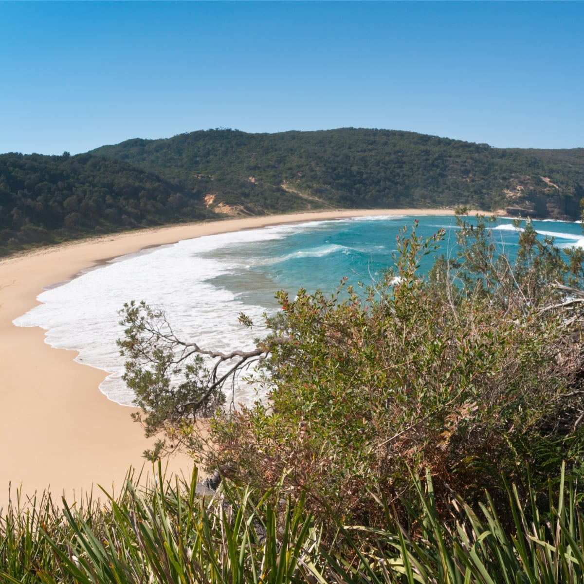 Steamers Beach Booderee National Park