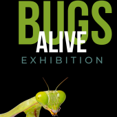 Bugs Alive Exhibition