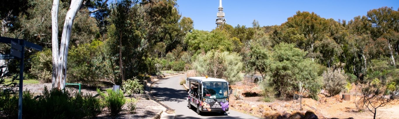 Secrets of the Australian Bush