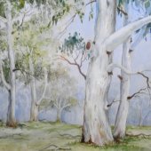 A Walk in the Bush exhibition