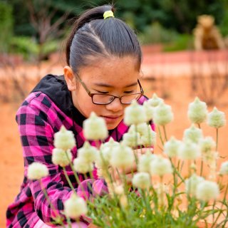 Teenage girl investigating plants in the Red Centre Garden
