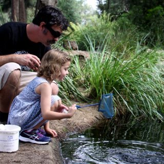 Dipping for plants and animals in a pond