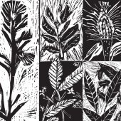Lino prints of native Australian plants by Patrick Clarke, Jarrod Koch, Katie Jayne O’Brien, Zac Elliot and Sadie Grant Butler