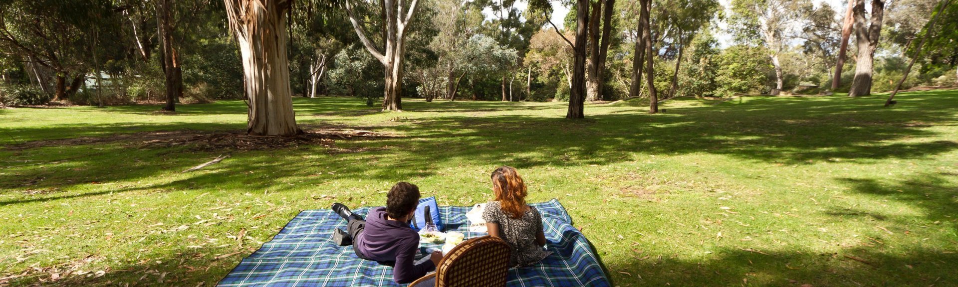 A picnic on the Eucalypt Lawn