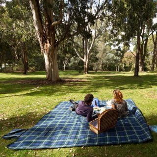 Couple having a picnic on the Eucalypt Lawn