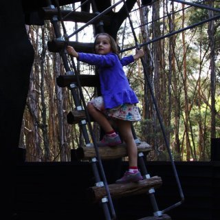 Girl climbing a ladder to the Paperbark Treehouse