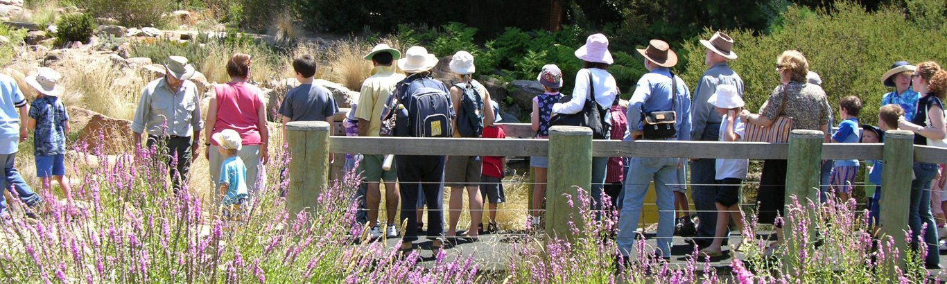 Daily guided walks | Australian National Botanic Gardens