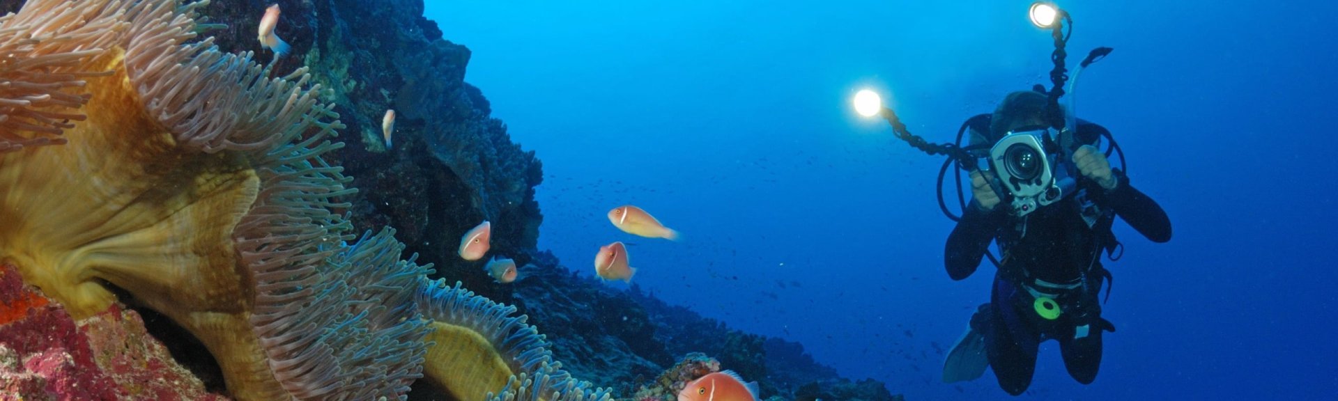 Diving the reefs. Photo: Justin Gilligan / Christmas Island Tourism Association