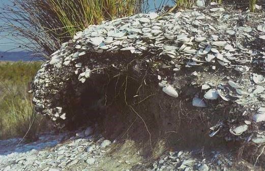 Booderee is home to historic shell middens