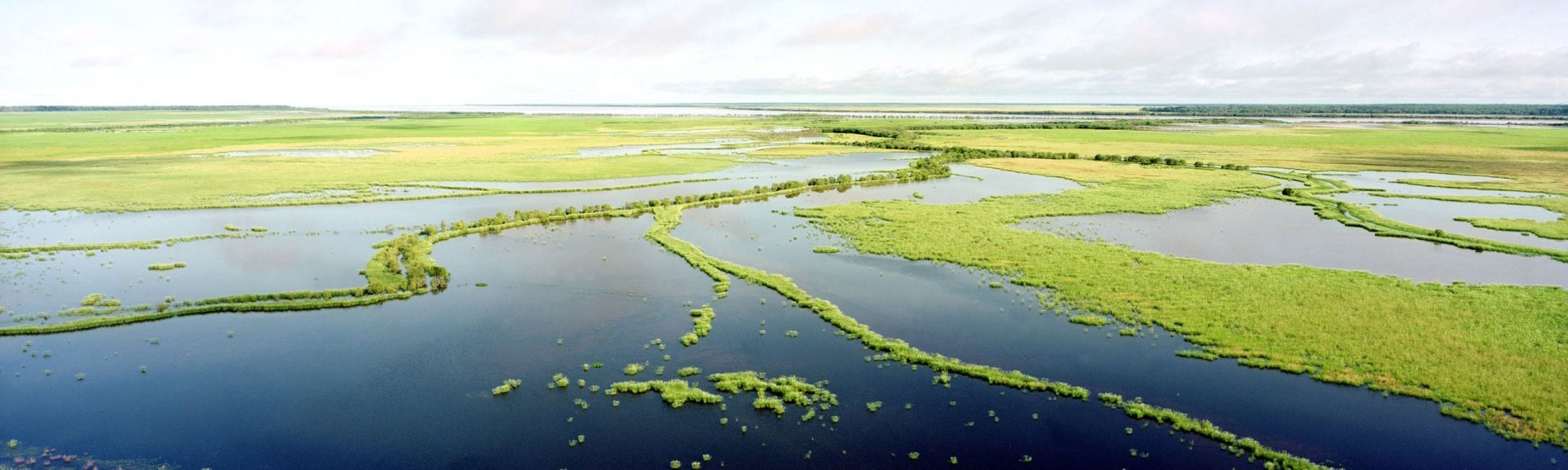 Kakadu flood plains. Photo: Ian Oswald-Jacobs