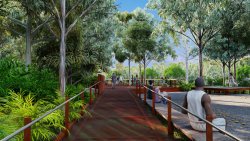 Cahills crossing viewing area artist’s impression