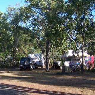 Campervans and caravans beneath the trees