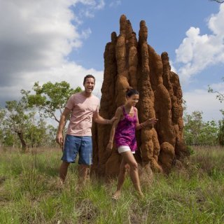 Termite mounds. Photo: Peter Eve, Tourism NT