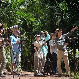 Visitors on an NT Bird Specialists' tour. Photo: Luke Paterson