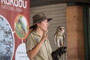 Ranger giving a talk about owls