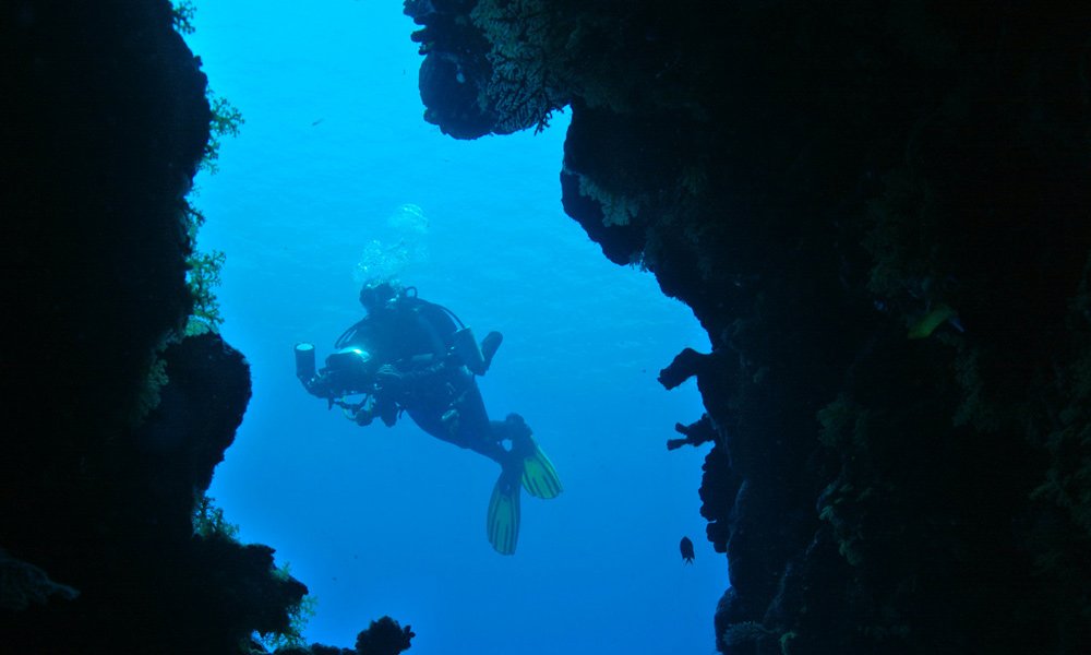 A diver exploring in the Coral Sea