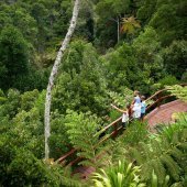 Norfolk Island Botanic Garden. Photo: Norfolk Island Tourism