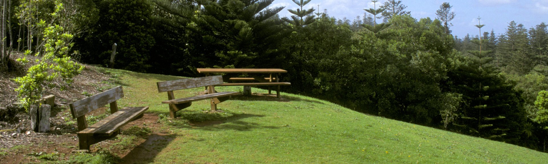 Take a picnic lunch to Norfolk Island National Park