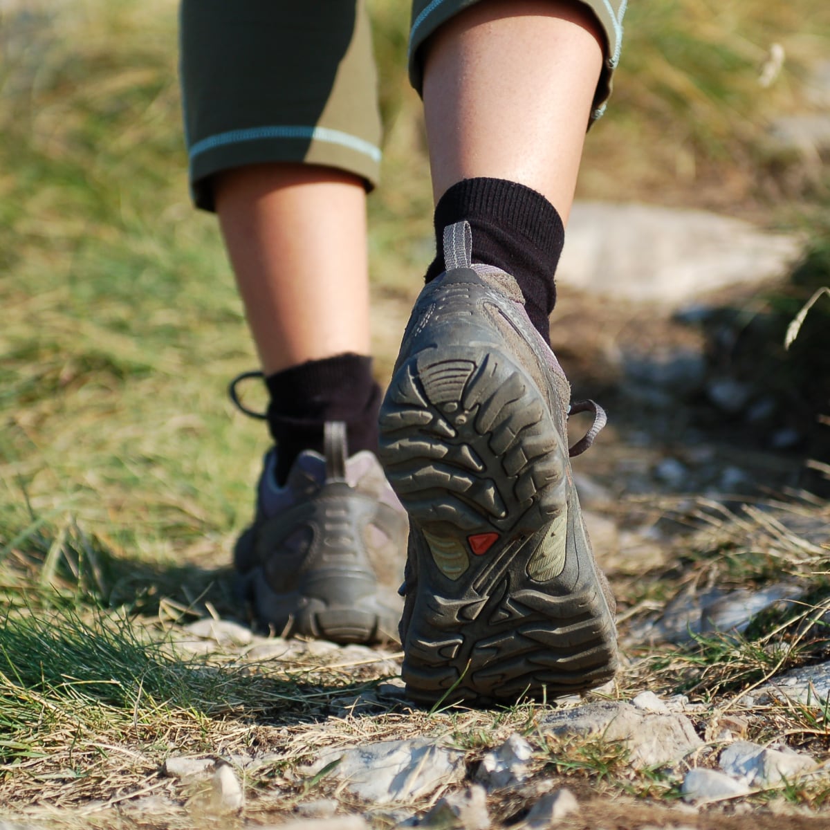 Walks | Norfolk Island National Park