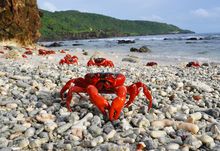 Christmas Island National Park