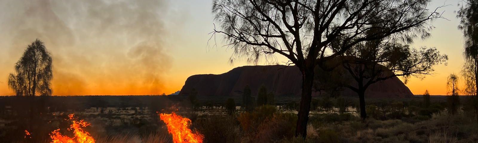 Cultural burning at Uluṟu-Kata Tjuṯa National Park