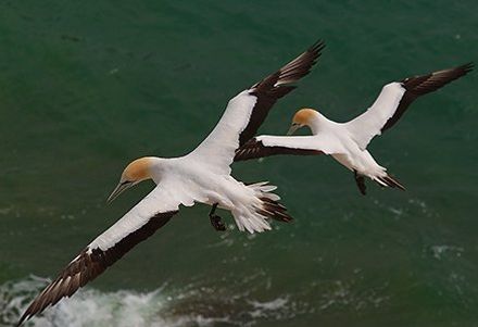 National Parks | Parks Australia | Parks Australia