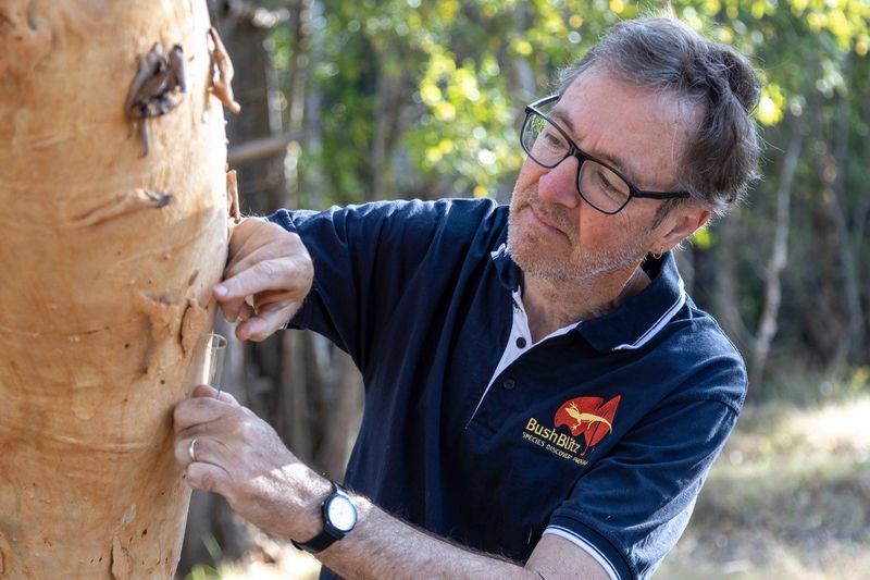 Dr Mark Harvey| Head of Department and Curator (Arachnids and Myriapods)| Western Australian Museum..