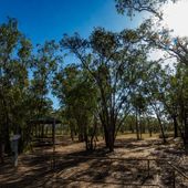 Burdulba campground