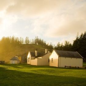 White buildings in front of a pine forrest on Norfolk Island