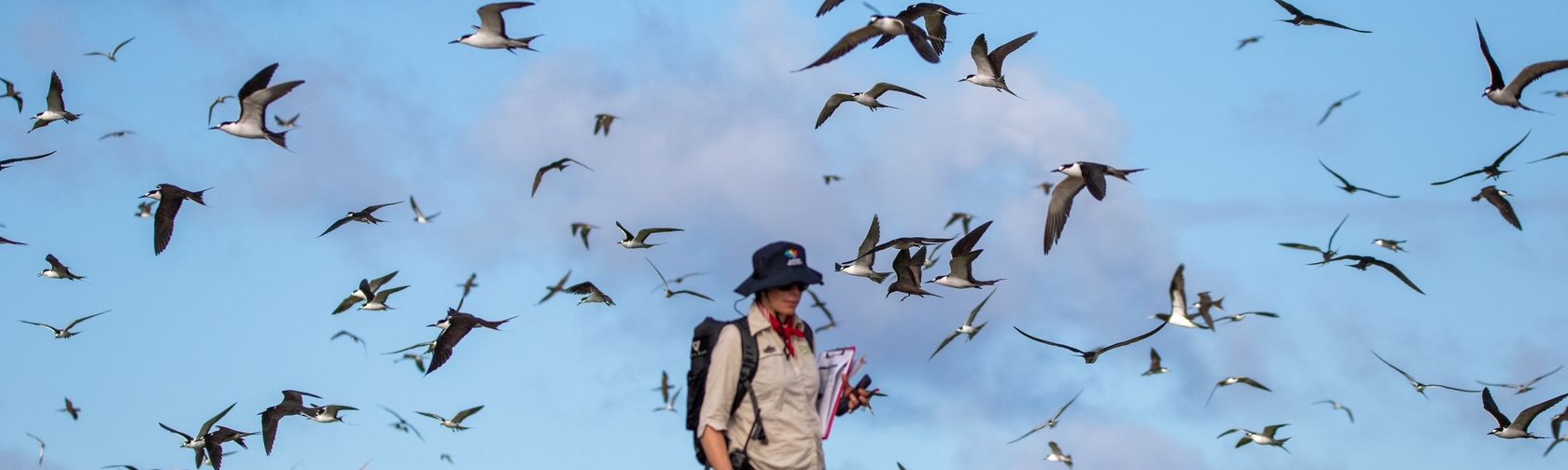 Coral Sea Marine Park health assessments