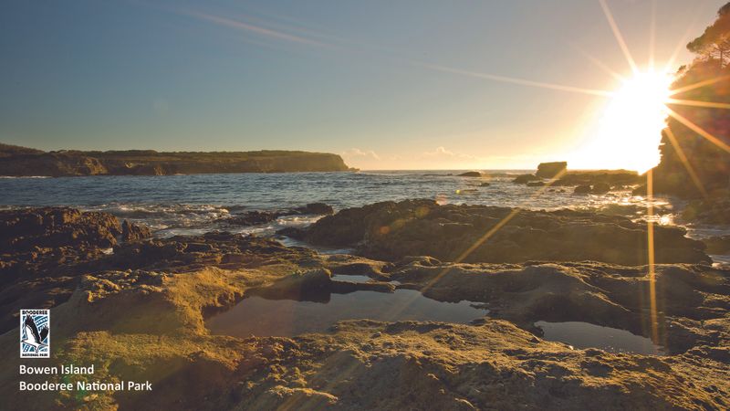 Check out this stunning sunrise over Bowen Island| where our local little penguin colony lives and breeds. You can view this sunrise from Murrays Beach – a inspiring start to the day..