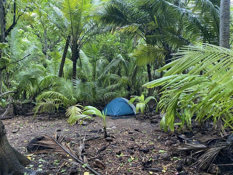 Blue tent surrounded by trees.