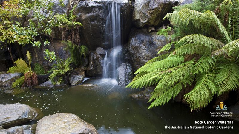 Listen to the sounds of the serene Rock Garden waterfall at the Australian National Botanic Gardens in Canberra..