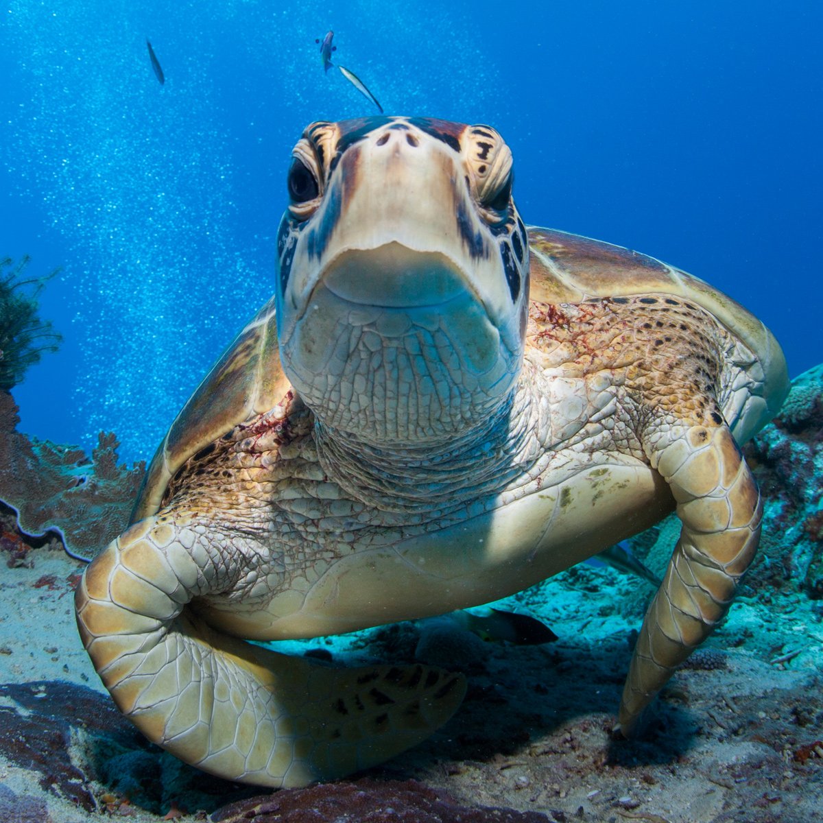 Our Marine Parks Grants now open | Parks Australia | Parks Australia