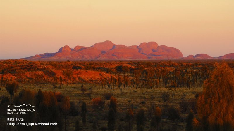 The imposing silhouette of Kata Tjuṯa is omnipresent throughout Uluṟu-Kata Tjuṯa National Park. The orangey hues and mesmerising shapes of this incredible natural feature are iconic to this location..