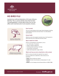 H5 bird flu fact sheet