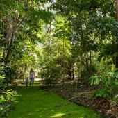 Booderee National Park rainforest walk