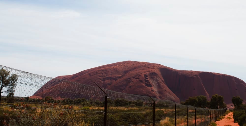 Wire fence around a paddock with Uluru in the background