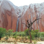 Rain on the rock.