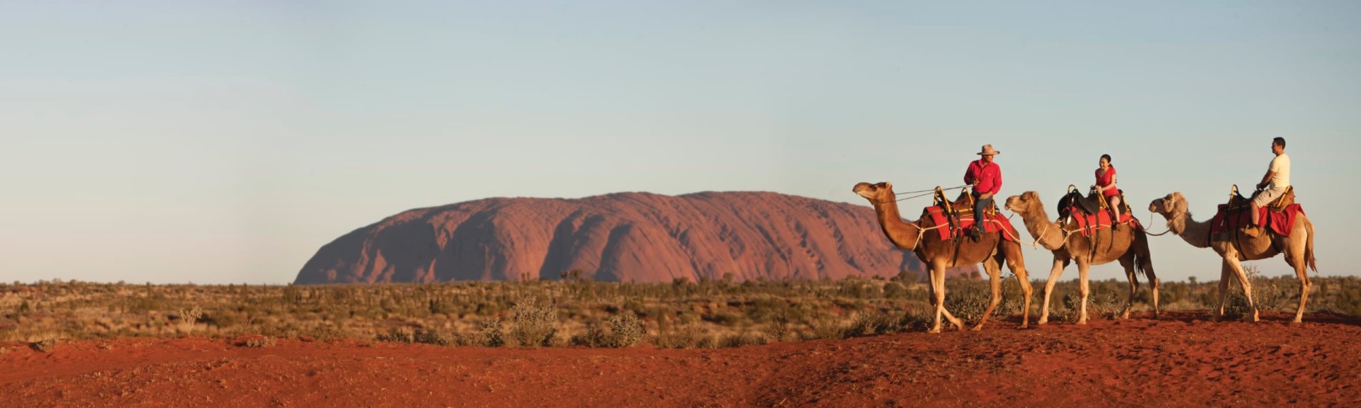 Uluru camel tour. Photo: Tourism NT