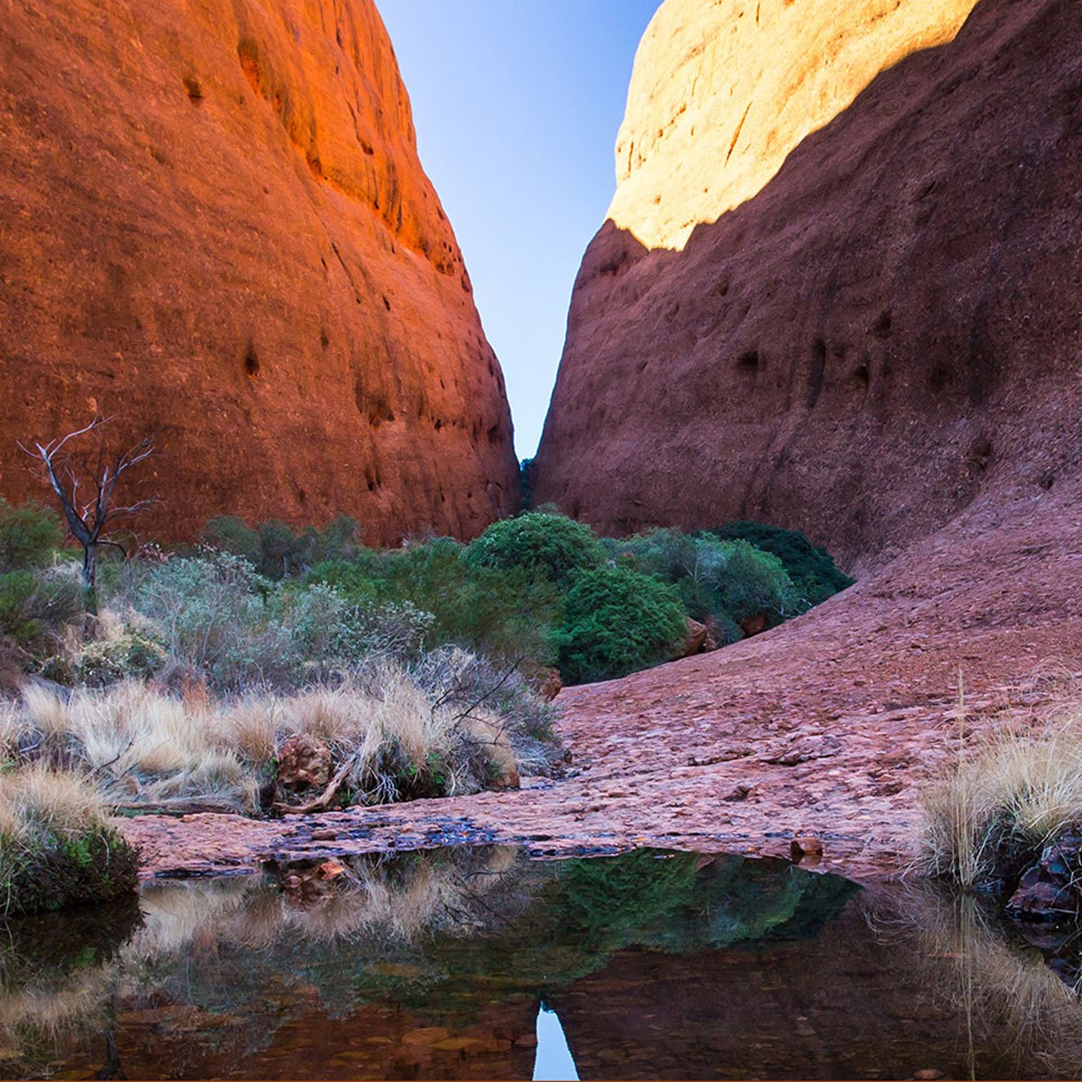 aat kings tours uluru